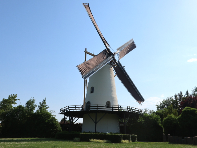 IMG_3580rilland_z