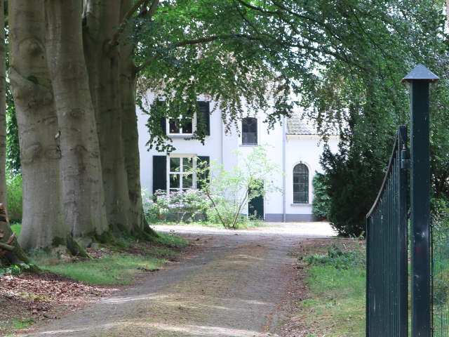 IMG_3730almengroothave
