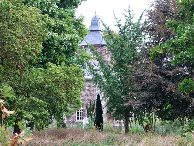 IMG_5560linneheysterum