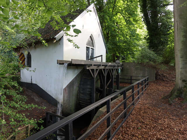 IMG_6146hattem_z